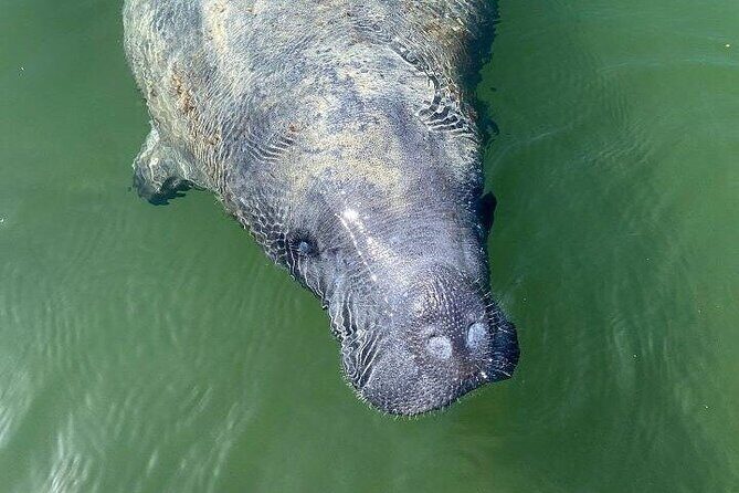 Ultimate National Park Expedition Dry Tortugas Everglades - Frequently Asked Questions
