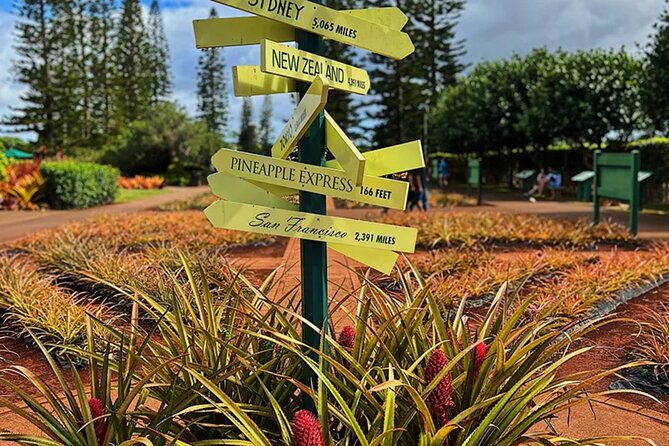 Ultimate North Shore Adventure Review - Suitability and Accessibility