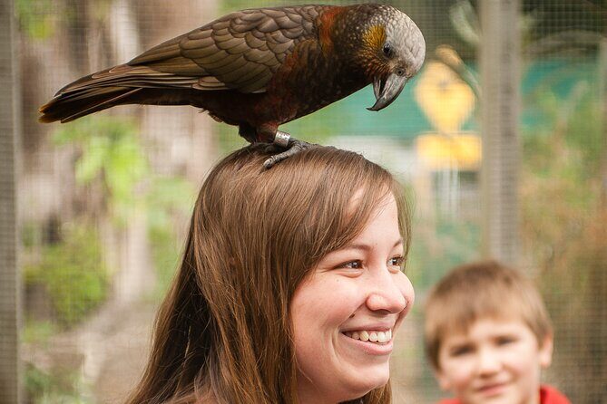 Ultimate Overnight Kiwi Experience - Frequently Asked Questions