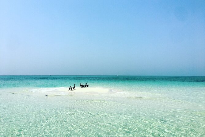 Ultimate Private Jarada Island Escape Tour - Inclusions