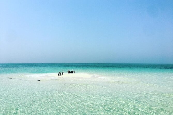 Ultimate Private Jarada Island Escape Tour - Cancellation and Booking