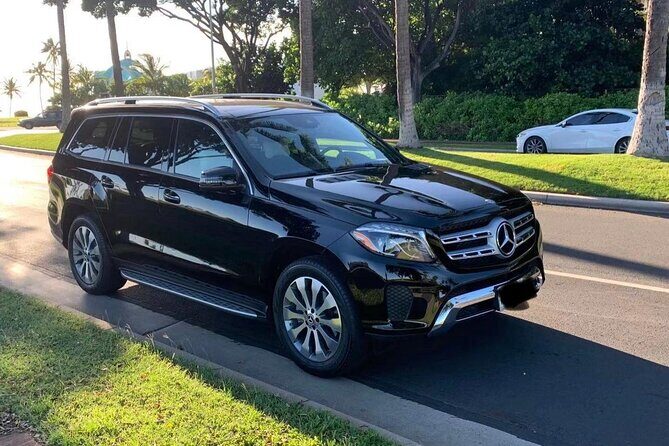 Ultimate Private Montréal City Tour: Culture, Views, Local Flavor - A Deep Dive into the Montreal Experience