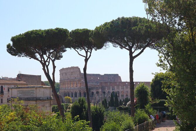 Ultimate Rome: Colosseum, Forum & Palatine Hill Guided Visit - An Honest Look at the Itinerary