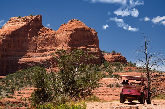 Ultimate Scenic Rim Adventure - Frequently Asked Questions