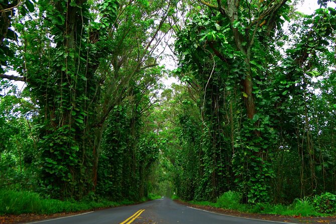 Ultimate Self-Guided Audio Driving Tour of Kauai (Na Pali, Waimea), Hawaii - Expanding Your Hawaiian Adventure