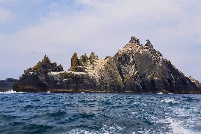 Ultimate Skellig Coast Tour - Traveler Feedback and Recommendations