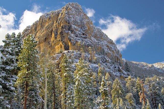 Ultimate Snowplay Adventure at Mount Charleston - Who Should Consider This Tour?