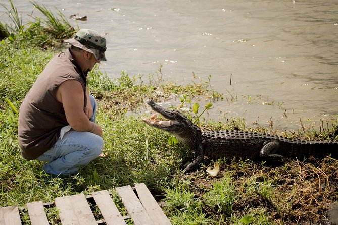 Ultimate Swamp Tour Experience With Transportation From New Orleans - Wildlife Encounters