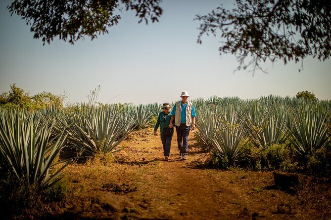 Ultimate tequila 2 day trip from Puerto Vallarta - The Itinerary in Detail