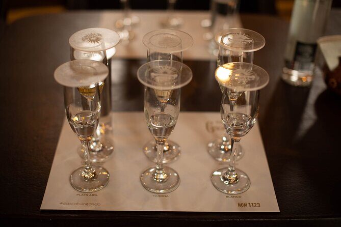 Ultimate tequila 2 day trip from Puerto Vallarta - Frequently Asked Questions