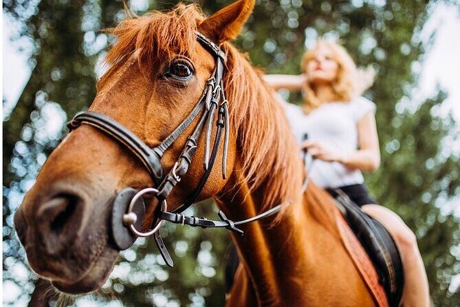 Ultimate Tulum Adventure: ATVs, Horses, Ziplines & Cenotes - A Fun and Action-Packed Day Near Tulum: The Ultimate Tulum Adventure