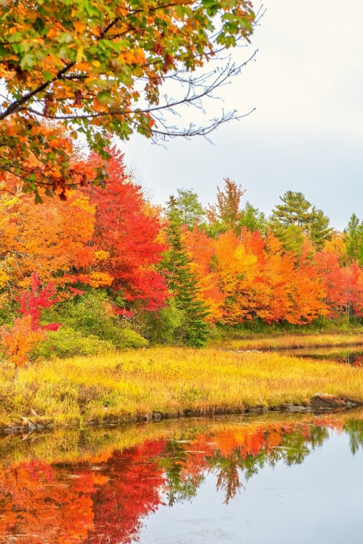 Ultimate US East Coast: Bundle of 25+Self-Guided Audio Tours - Frequently Asked Questions