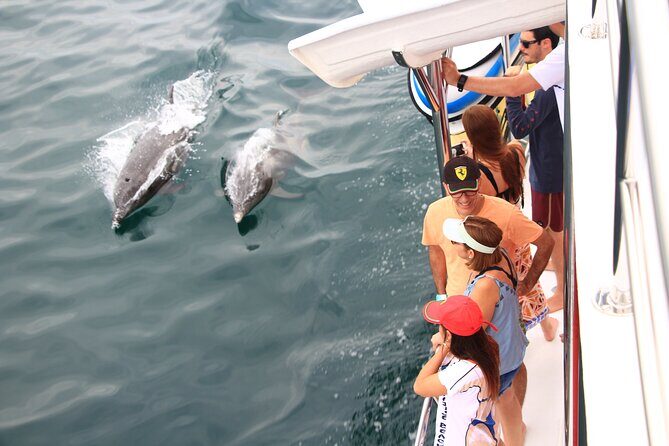 Ultimate Whale Watching Experience All-Inclusive - FAQ