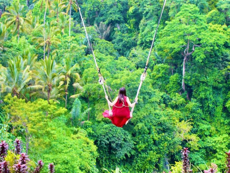 Ulun Danu Bratan Temple : Banyumala Waterfalls /Private Trip - Inclusions and Services