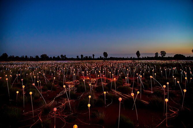 Uluru (Ayers Rock) Field of Light Sunrise Tour - The Sum Up