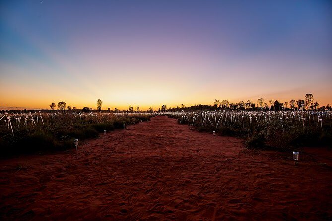 Uluru (Ayers Rock) Field of Light Sunrise Tour - FAQ