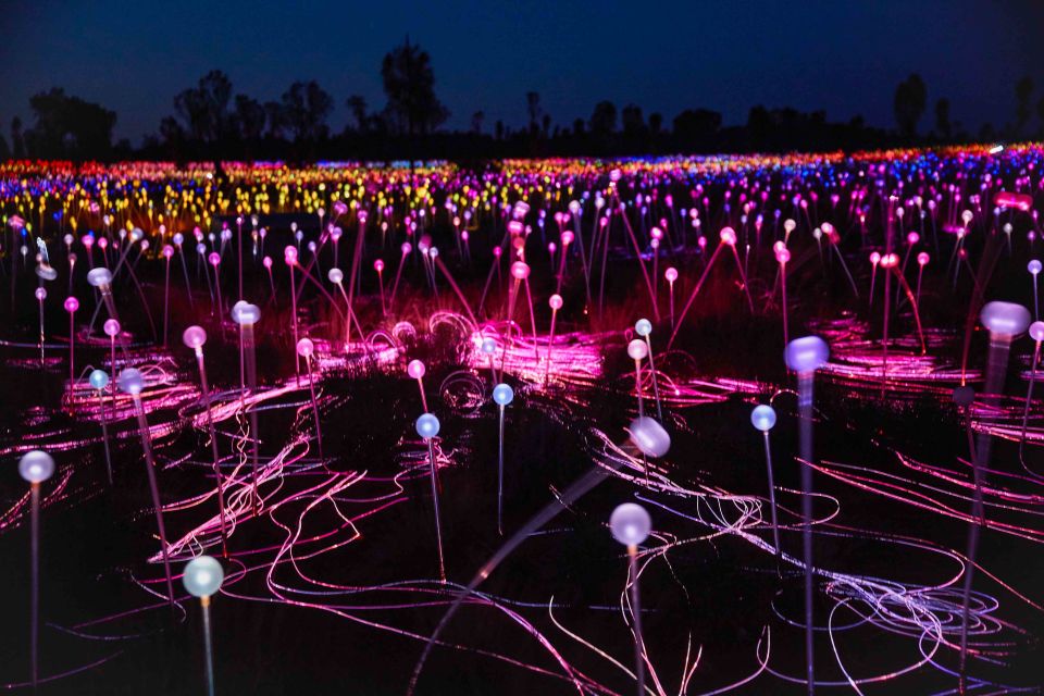 Uluru: Field of Light Sunrise Tour With Hot Drinks - Pricing Details