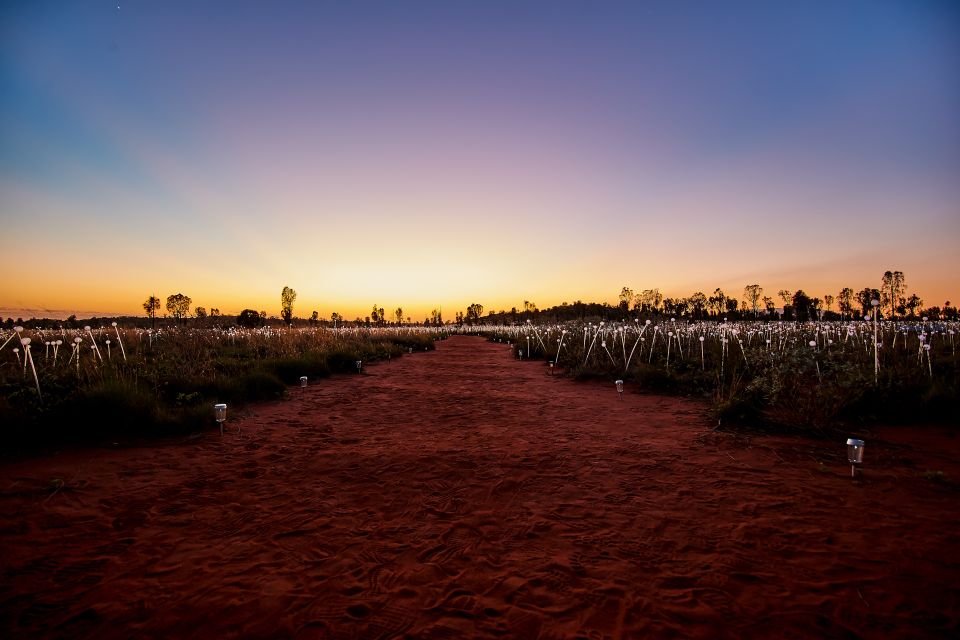 Uluru: Field of Light Sunrise Tour With Hot Drinks - Reservation Process