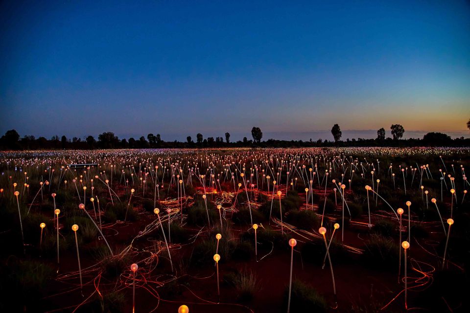 Uluru: Field of Light Sunrise Tour With Hot Drinks - Experience Itinerary