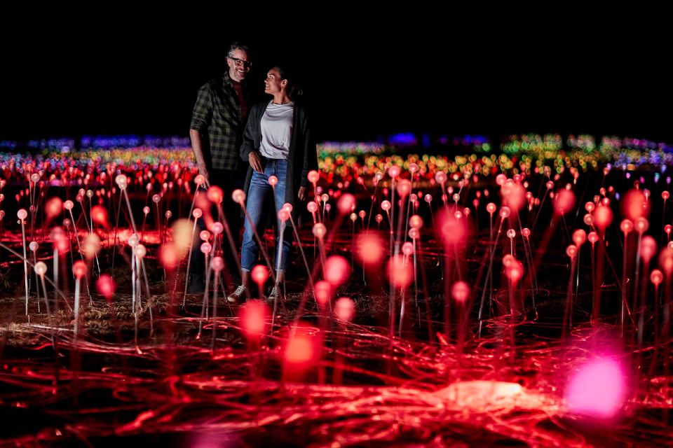 Uluru: Field of Light Sunrise Tour With Hot Drinks - Pickup and Drop-off Options