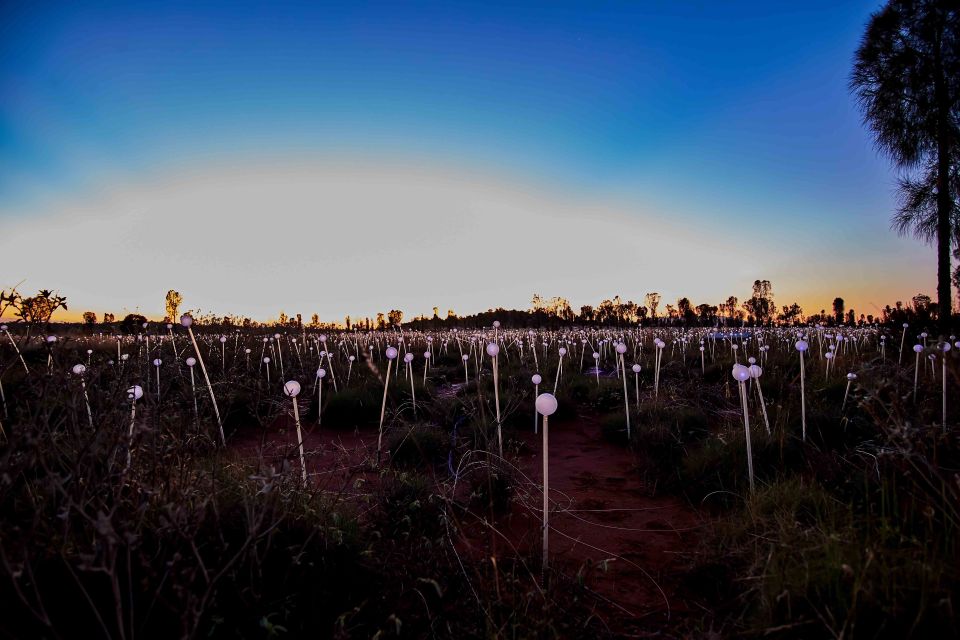 Uluru: Field of Light Sunrise Tour With Hot Drinks - Frequently Asked Questions