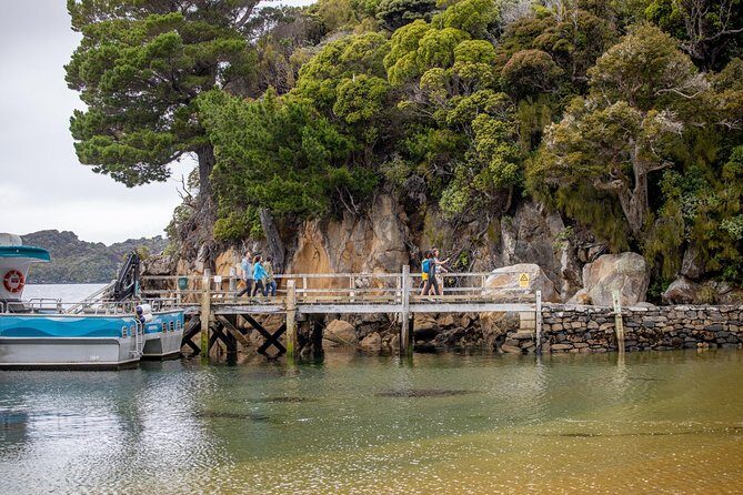 Ulva Island Explorer from Stewart Island - The Experience: What Makes It Special