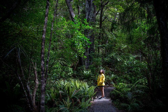 Ulva Island Explorer from Stewart Island - Who Should Consider This Tour?