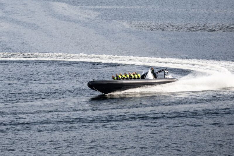 Ulvik Fjord Cruise: Scenic RIB Adventure to Osafjord - Pricing and Booking