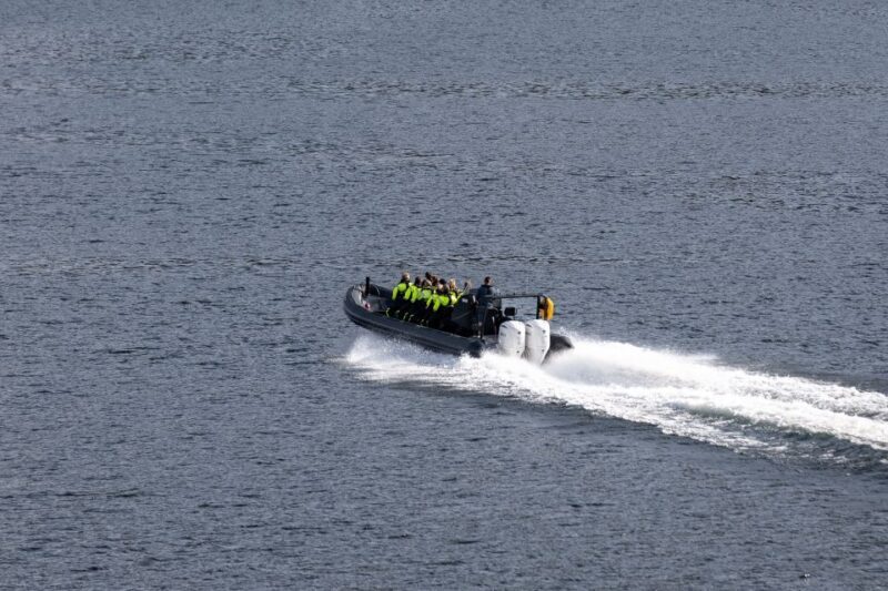 Ulvik: Hardangerfjord Ultimate RIB Safari - Who Will Love This Tour?