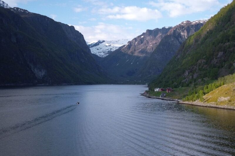 Ulvik: Hardangerfjord Ultimate RIB Safari - The Sum Up