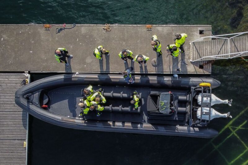 Ulvik: Hardangerfjord Ultimate RIB Safari - FAQ