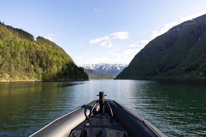 Ulvik Scenic RIB Adventure Tour to Osafjord - Participant Reviews and Highlights