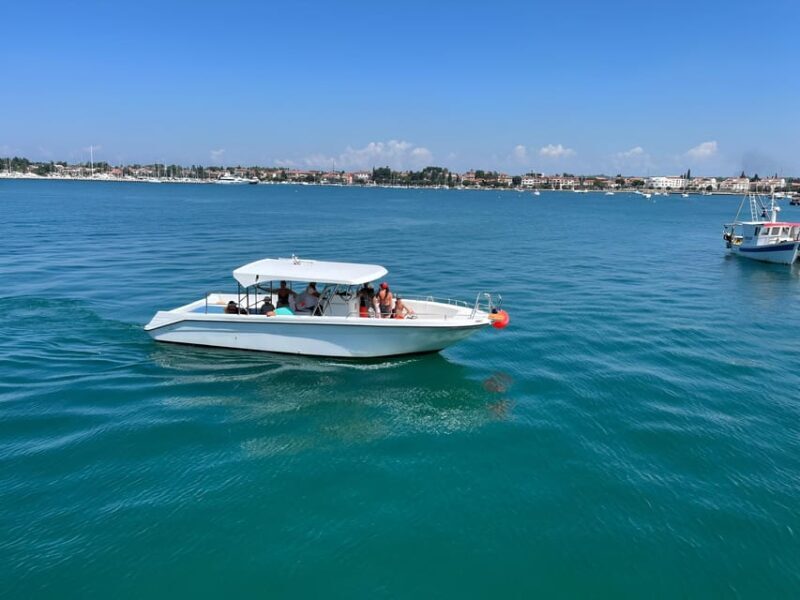 Umag: Dolphinwatching & sunset panorama tour - Key Points