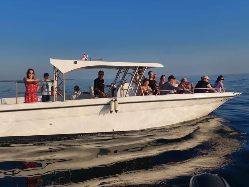 Umag: Dolphinwatching & sunset panorama tour - An In-Depth Look at the Tour