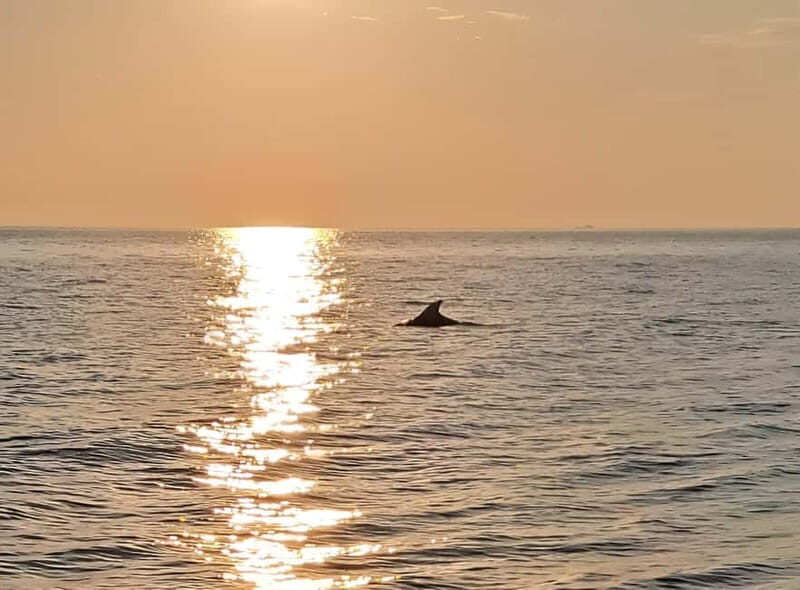 Umag; private speedboat rental with captain - Who Would Enjoy This Tour?