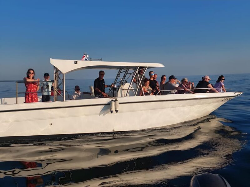 Umag: Snorkeling & dolphin watching morning boat tour - Final Thoughts on the Tour’s Value