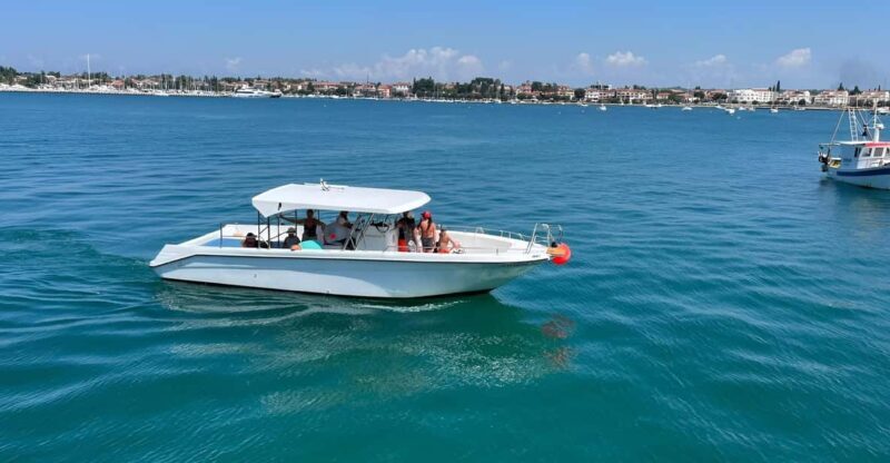 Umag: Snorkeling & dolphinwatching morning boat tour - A Deep Dive into the Experience