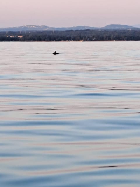 Umag: Snorkeling & dolphinwatching morning boat tour - Who This Tour Is Best For