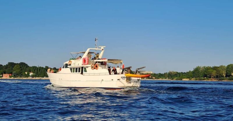 Umag: Sunset Cruise with Dolphin Spotting - Introduction