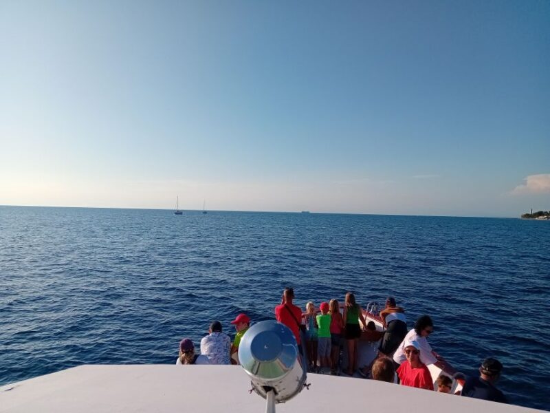 Umag: Sunset Cruise with Dolphin Spotting - Key Points
