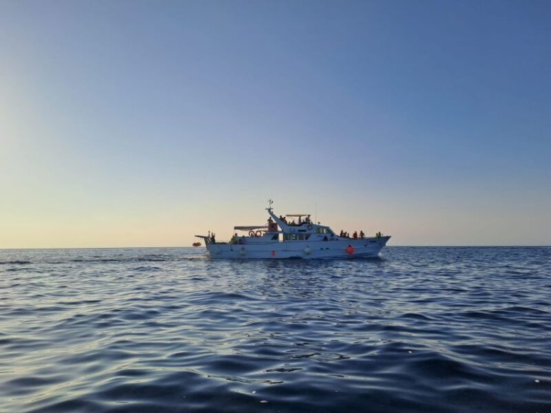 Umag: Sunset Cruise with Dolphin Spotting - Why This Tour Works Well for Travelers