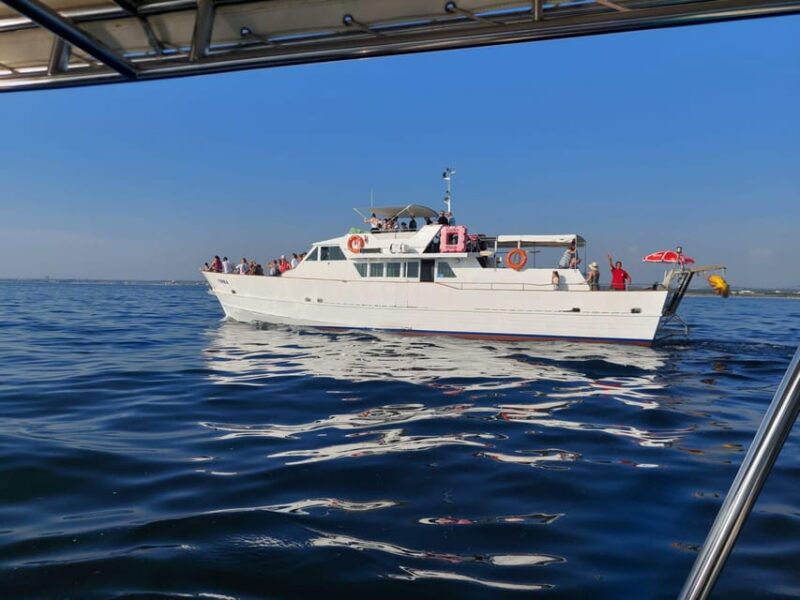 Umag: Swimming&Panorama / Welcome Drink and Dolphin Spotting - Experience Details