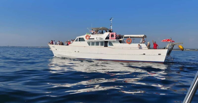Umag: Swimming&Panorama / Welcome Drink and Dolphin Spotting - Important Information