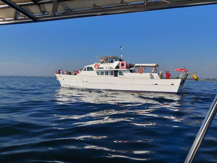 Umag: Swimming&Panorama / Welcome Drink and Dolphin Spotting - Tour Highlights
