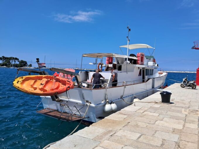 Umag: Swimming&Panorama / Welcome Drink and Dolphin Spotting - Getting to the Starting Point