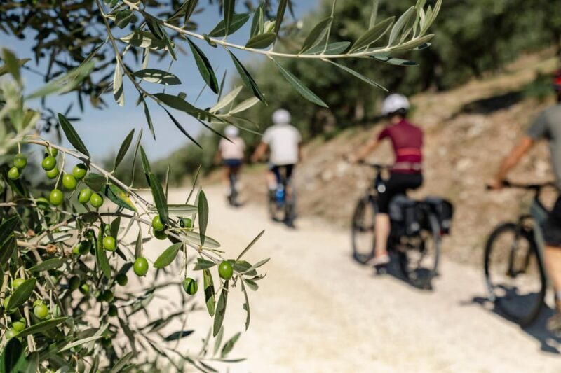 Umbria: E-Bike Rental and Fresh EV Olive Oil Tasting - Who Would Love This Tour?