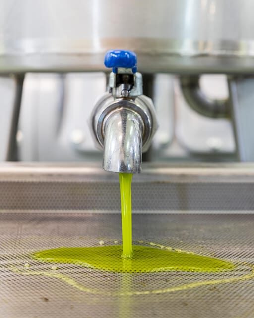 Umbria: E-Bike Rental and Fresh EV Olive Oil Tasting - Final Thoughts