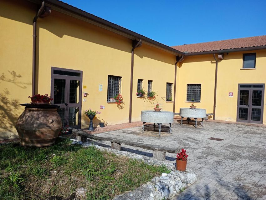 Umbria: Guided Tour to Traditional Oil Mill + Tasting - History of Olive Oil