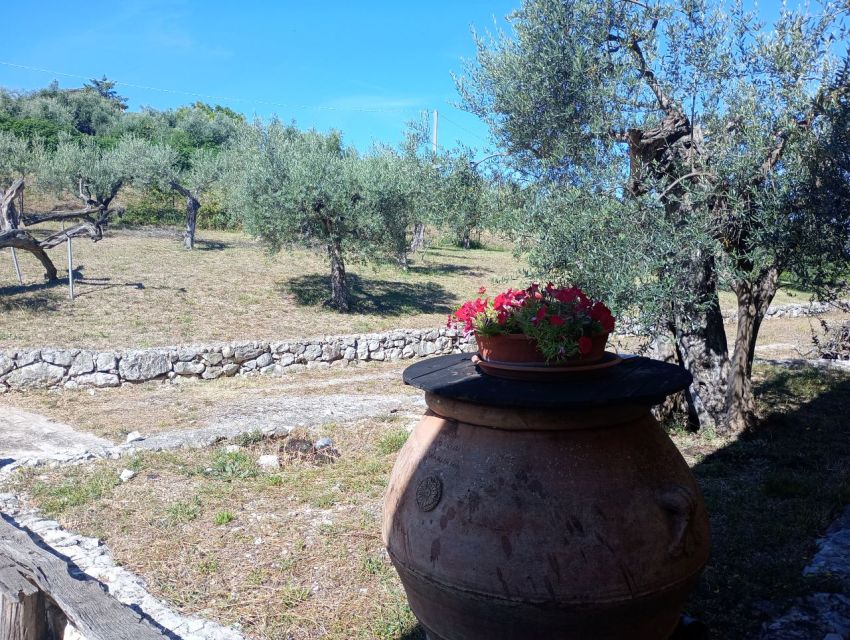 Umbria: Guided Tour to Traditional Oil Mill + Tasting - Frequently Asked Questions