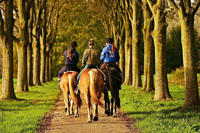 Umbria, Horseback riding in the Umbrian countryside with lunch - An In-Depth Look at the Horseback Riding Experience in Umbria